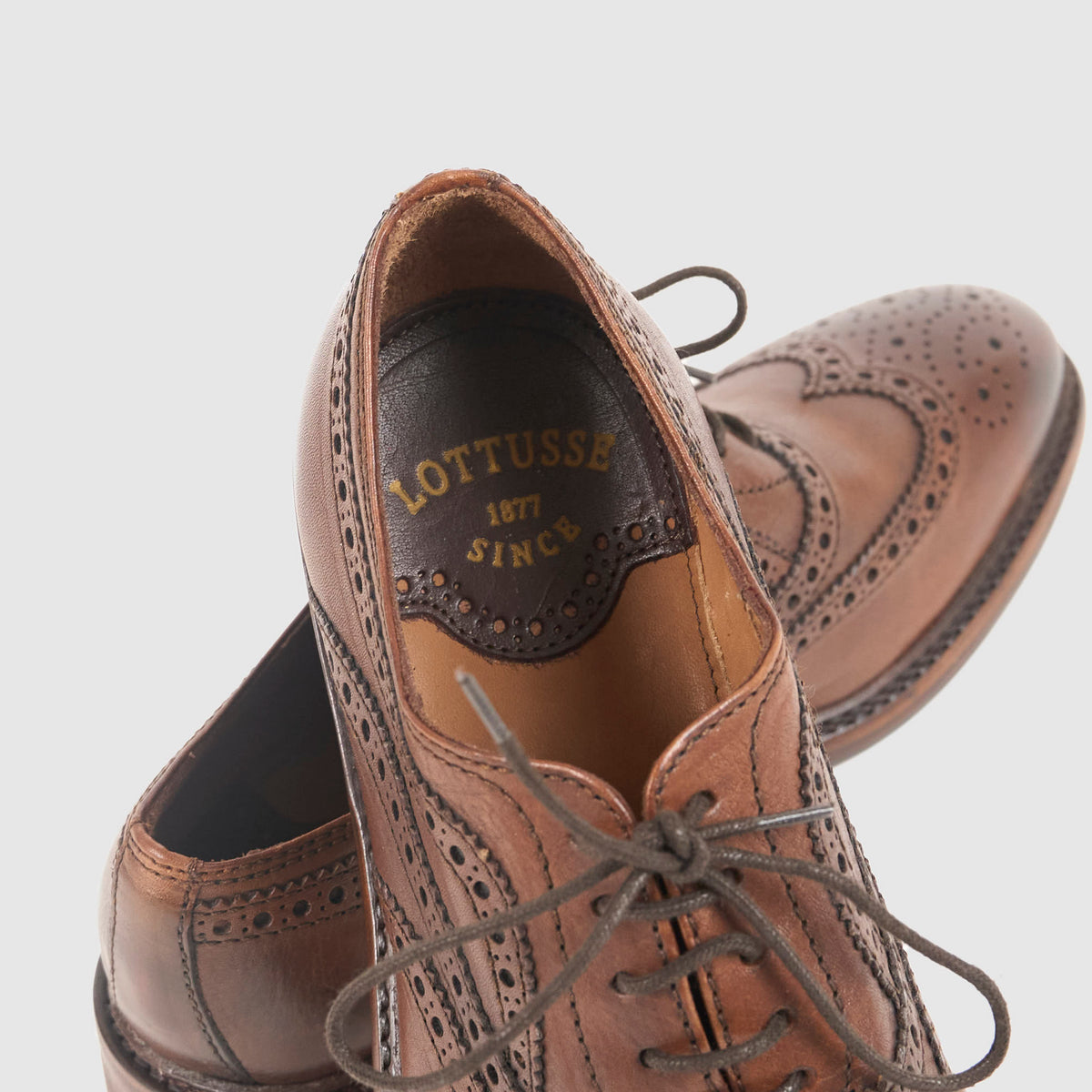 Lottusse Brogues Shoe