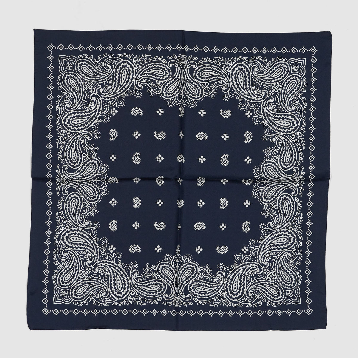 Anonymous ISM Silk Paisley Bandana