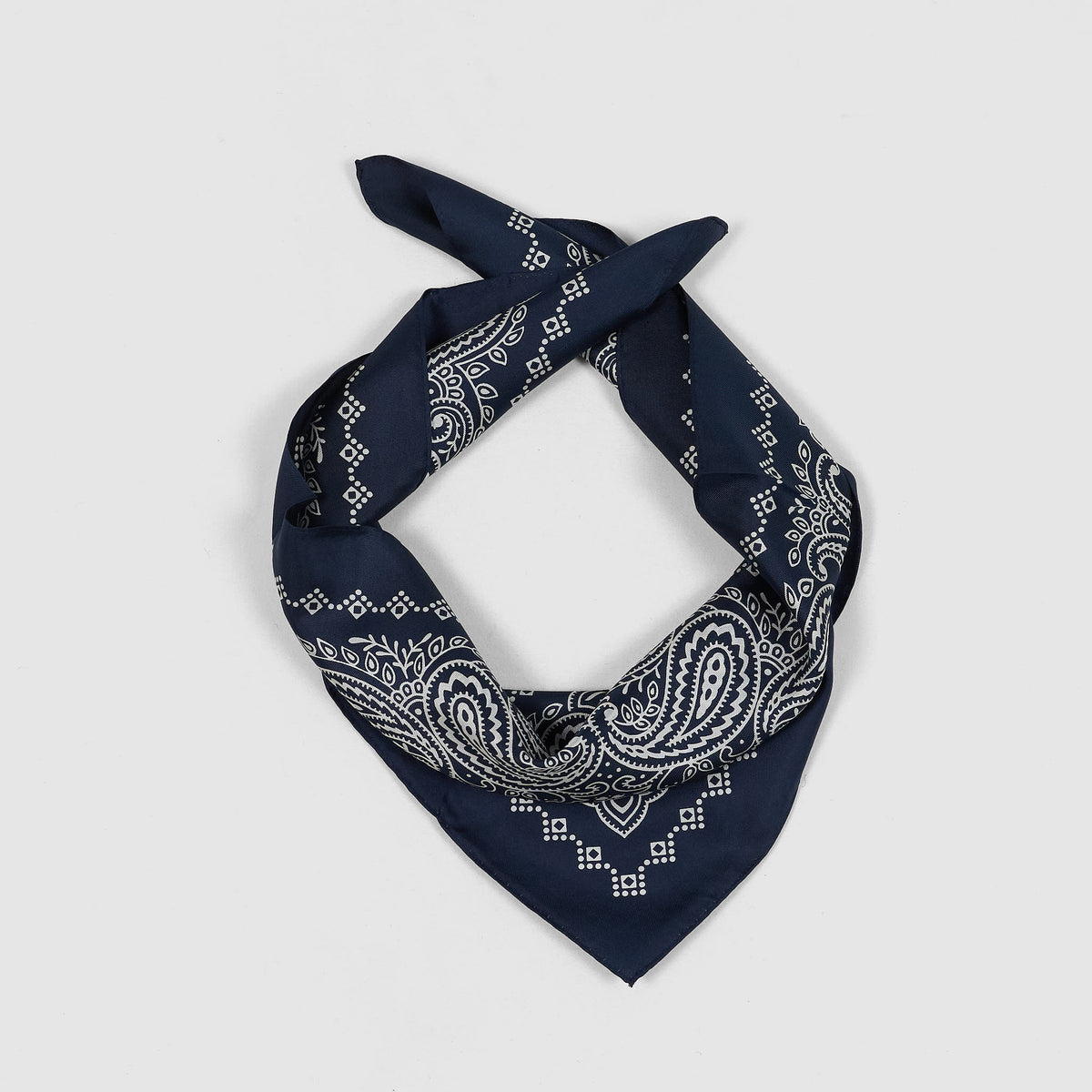 Anonymous ISM Silk Paisley Bandana