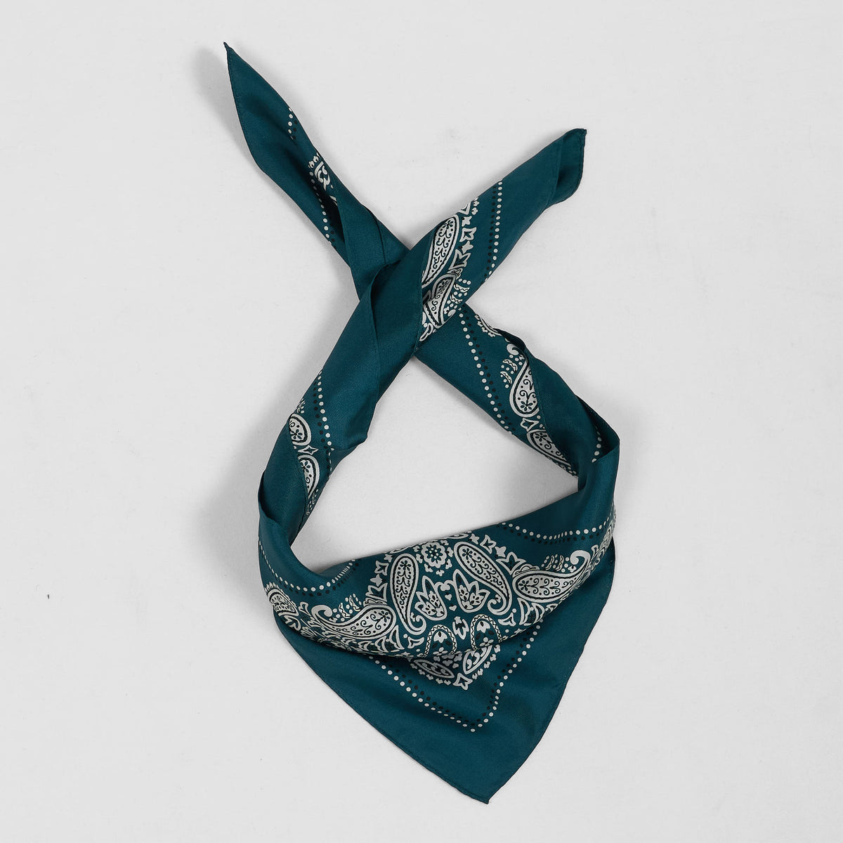 Anonymous ISM Silk Paisley Bandana