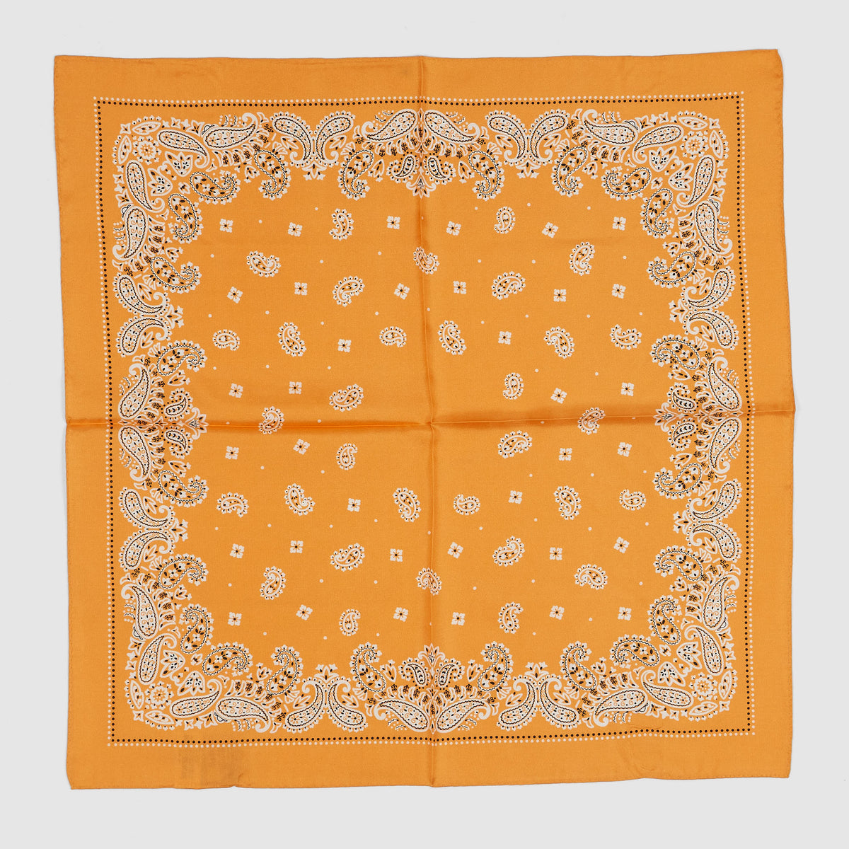 Anonymous ISM Silk Paisley Bandana