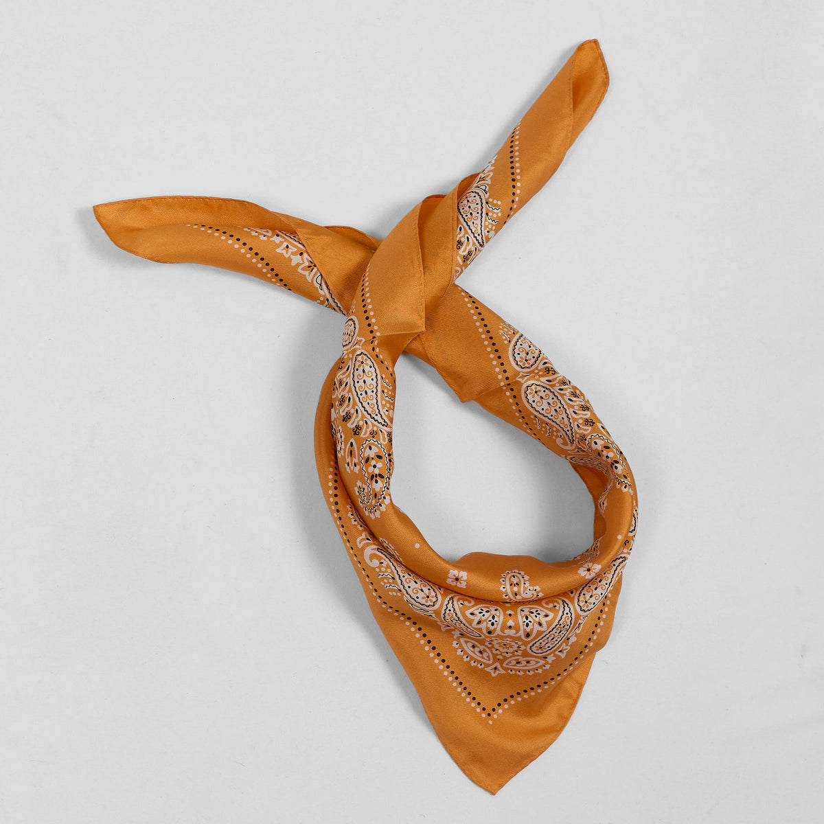 Anonymous ISM Silk Paisley Bandana