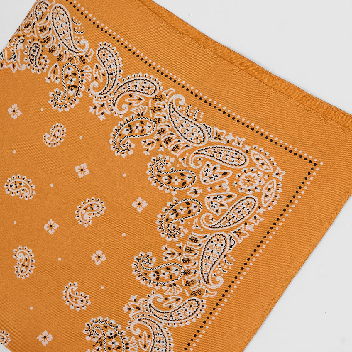 Anonymous ISM Silk Paisley Bandana