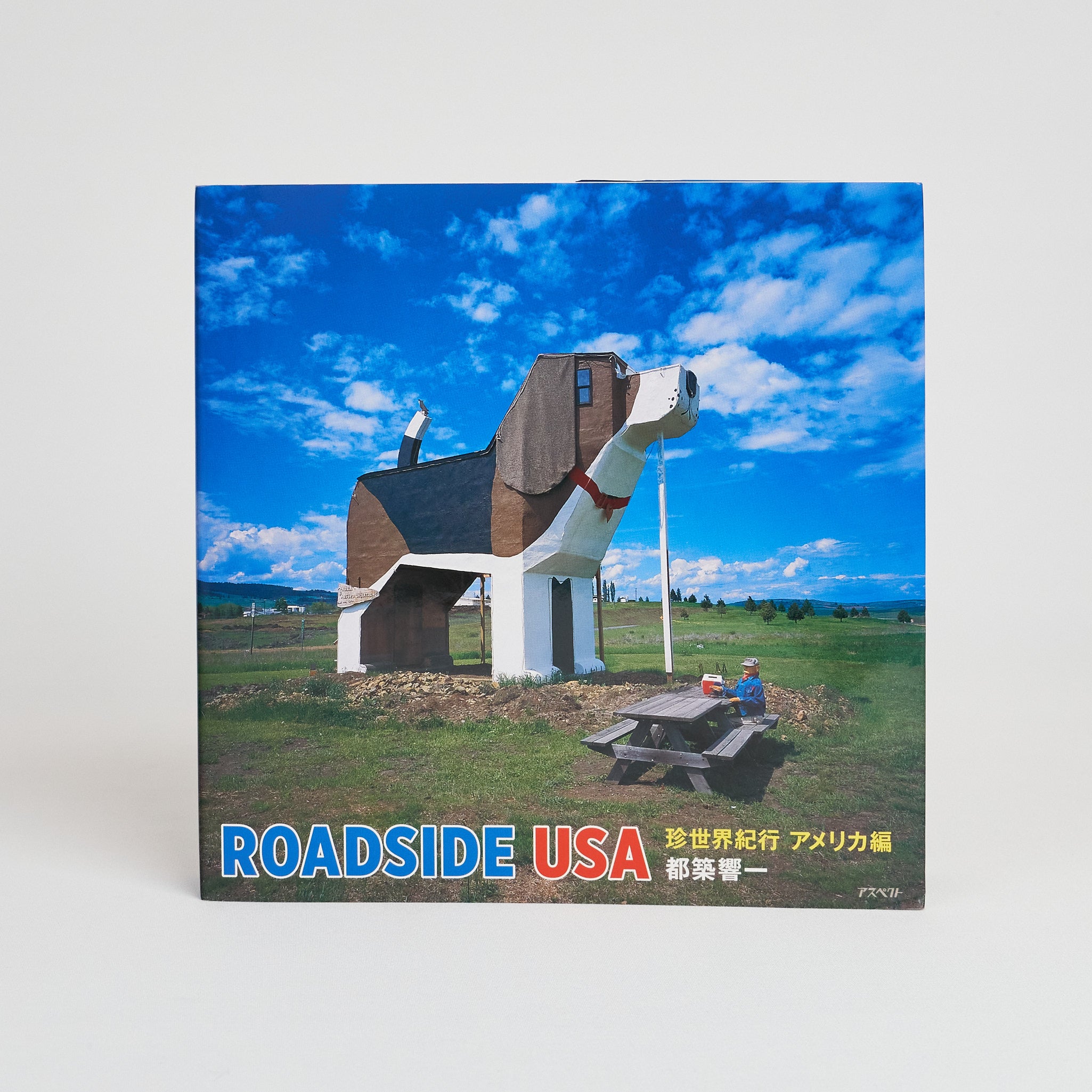 Roadside USA, Kyoichi Tsuzuki - DeeCee style